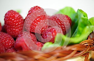 Fresh raspberry photo