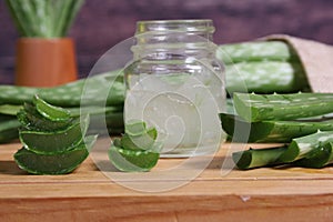 Fresh Raw Aloe Vera on Table After Harvest