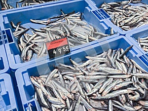 Fresh raw anchovy fish on ice for sale at local market in Ibiza, Spain