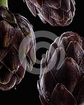 Fresh raw artichokes on black background.