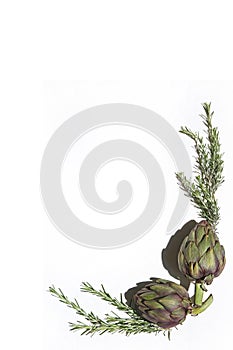 Fresh raw artichokes on white background. Ripe organic artichoke flower with copy space