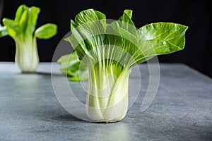 Fresh raw baby Bok choy or pak choi Chinese cabbage