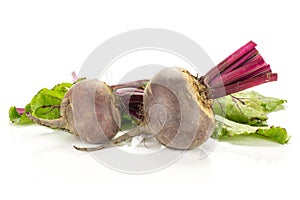 Fresh raw Beetroot isolated isolated on white