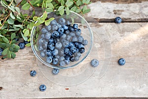 Fresh raw blueberries with leaves on wooden background in garden. Organic bilberry food.