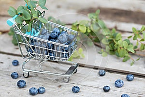 Fresh raw blueberries with leaves on wooden background in garden. Organic bilberry food.