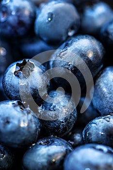 Fresh raw blueberries with waterdrops, blue summer background