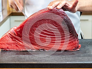 Fresh raw bluefin tuna loin