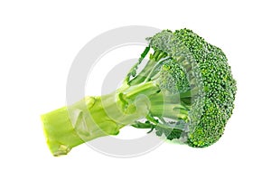 Fresh raw broccoli isolated on white