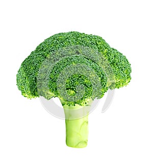 Fresh raw broccoli isolated on white