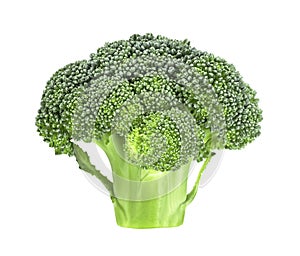 Fresh raw broccoli isolated on white background. Healthy broccoli