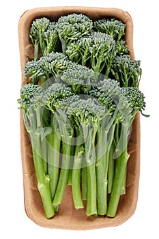 Fresh raw broccolini or baby broccoli on cardboard food tray isolated on white. Top view. Close-up