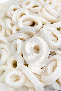 Fresh raw calamari or squid rings