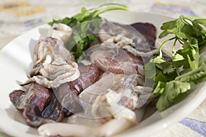 Fresh raw calamari