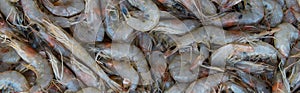 Fresh raw caught shrimps on ice on sale at fish market. Seafood pattern