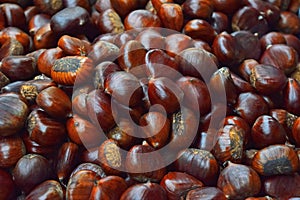 Fresh raw chestnuts marrons close up photo