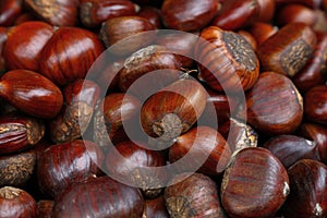 Fresh raw chestnuts marrons close up photo