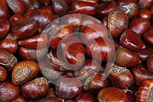 Fresh raw chestnuts marrons close up photo