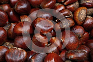 Fresh raw chestnuts marrons close up photo