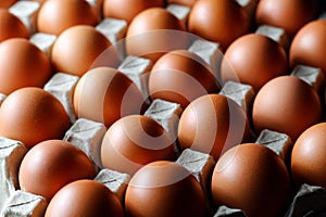 Fresh raw chicken eggs in carton egg box