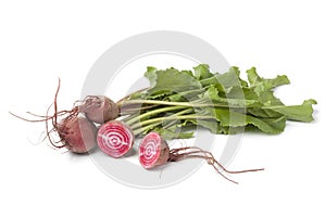 Fresh raw Chioggia beets