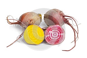 Fresh raw Chioggia beets and yellow beets