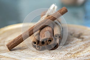 Fresh raw cinnamon sticks on wooden roung log slice tied with jute natural twine