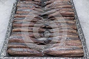 Fresh raw cleaned dutch herring
