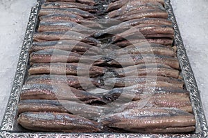 Fresh raw cleaned dutch herring photo