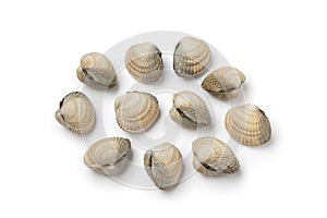 Fresh raw cockles