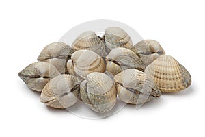 Fresh raw cockles