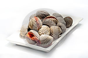 Fresh raw cockles, delicious seafood, nature style