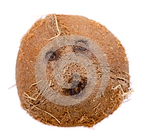 Fresh raw coconut, whole drupe. Isolated on white