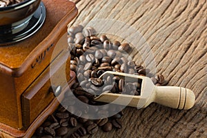 Fresh Raw Coffee Beans on Wooden Desk Table