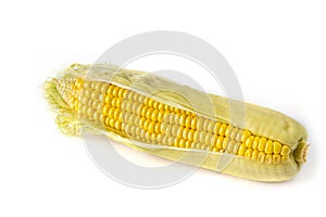 Fresh raw corn cob on the clean white background