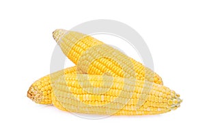 Fresh raw corn cob isolated on white