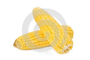 Fresh raw corn cob isolated on white