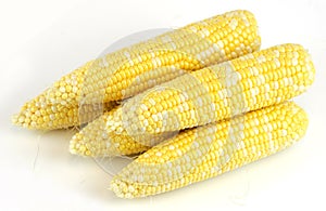 Fresh raw corn cob isolated on white background