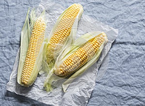 Fresh raw corn cobs on a blue background