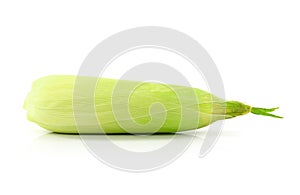 Fresh raw corn cobs isolated on the white background.