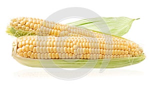 Fresh raw corn cobs photo