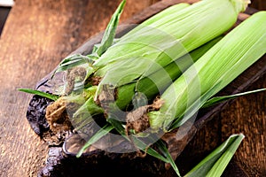 Fresh raw corn cobs on a wooden background. Healthy food, vegetarianism concept