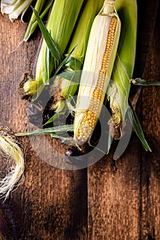 Fresh raw corn cobs on a wooden background. Healthy food, vegetarianism concept