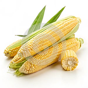 Fresh raw corn isolated on transparent background