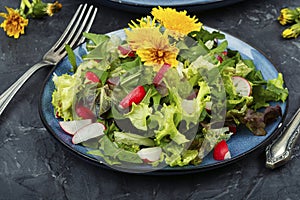 Fresh raw dandelion salad, detox food