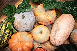 Fresh raw different pumpkins with green leaves on wooden table