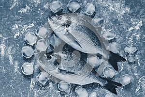 Fresh raw dorado fish with ice cubes on rustic background. Color of the year 2020 classic blue toned. Top view, flat lay photo
