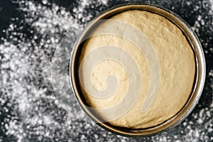 Fresh Raw Dough for Preparation Cookies Top View