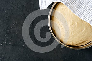 Fresh Raw Dough for Preparation Pie Flat Lay Photo