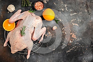 Fresh raw duck with orange thyme and spices on a dark background. Culinary cooking. banner, menu, recipe place for text, top view