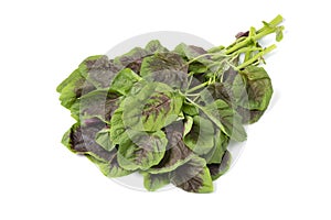 Fresh raw edible amaranth leaves on white background